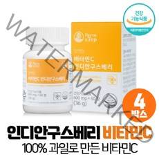 인디안구스베리 암라 비타민C 정, 인디안구스베리 비타민C 60정, 4개(8개월), 600mg