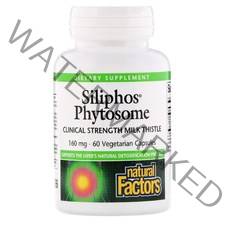Natural Factors Siliphos 네츄럴 펙터스 실리포스 파이토솜 밀크씨슬 160mg 60정