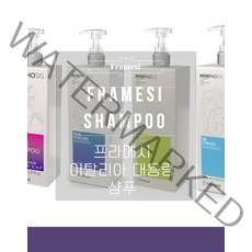 프라메시 퓨리파잉 외 4종 대용량 샴푸 1000ml