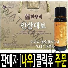 CJ 한뿌리 인삼대보 100ml x 20병