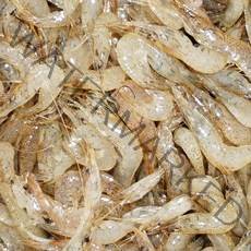 지에스푸드 국내 자연산 민물새우 1~2kg, 1세트, 민물새우 1kg