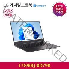 LG전자 울트라기어 게이밍노트북 17G90Q-XD79K, WIN11 Home, 블랙, 1536GB, 코어i7, 64GB