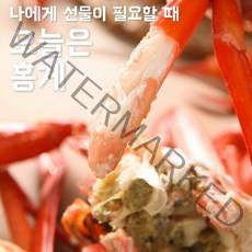 속초 홍게 프리미엄 박달 홍게 제철, 쪄서가는 홍게  3kg （수율 80프로）