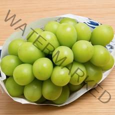 최상품 고당도 샤인머스켓 특과 1kg 2kg 김천 경산, 01_최상품 샤인머스켓 1kg 2수