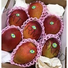 추석 명절 브라질 햇 애플망고 선물세트 2kg(5수내외), 2kg(4과내외)