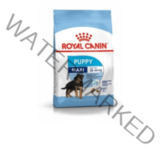 로얄캐닌 맥시 퍼피 곡물 반려견 사료, 10kg, 1개