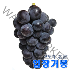 고당도 거봉 천안 입장 포도 2kg 4kg, 1) 거봉 2kg 내외