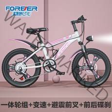 경량 가벼운 고학년 자전거 초등 학생 어린이 바이크, 20인치cm, C