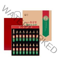 고려홍삼원 6년근 홍삼정 활력 포르테 + 쇼핑백, 20ml, 16개