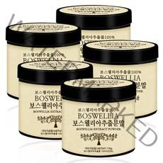 푸른들판 인도산 보스웰리아 추출 분말 100% 가루 보스웰리아추출물, 170g, 5통