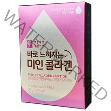 애플트리김약사네 바로 느껴지는 미인 콜라겐 2g x 14개입, 14포, 3박스