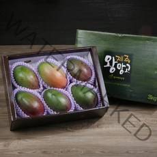 프리미엄 추석선물세트 국내산 과일 수입과일 명절 선물세트 34종, 34.제주 애플망고 왕망고 선물세트 3호