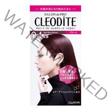 살롱드프로클레오디테헤어칼라 밝은새치염색 새치커버염색 새치염색미용실, 05 회갈색