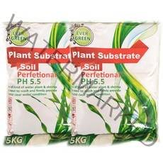 에버그린 플랜츠 섭스트라트 소일, 5kg, 2개