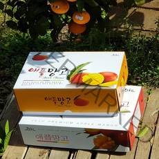 [제주산지직송] 애플망고 3kg(선물용) 소확행 향긋한 애플망고 2022년 첫출하! 귀한분께 드리는 제주과일선물세트, 3kg[5-6수]