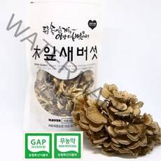 건조 잎새버섯 100g 무농약 GAP인증 (천기누설등 각종 방송촬영 농가) 강원도양양특산물, 1, 300g