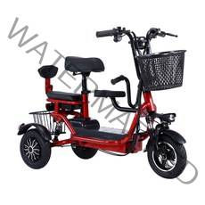 세발전기자전거 3륜 삼륜 전기자전거 2인승 48V 45km 어르신 노인 장보기 리튬배터리, 화이트, 고탄소강