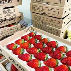 당일수확 생딸기 강원도 대관령 여름딸기 데코용 쥬스용 샌드용 못난이 600g 2kg, 샌드용딸기, 1kg+1kg