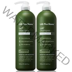 닥터방기원 랩플러스 바이옴 탈모샴푸 그린라벨, 2개, 1000ml