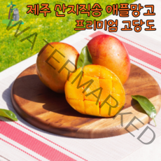 제주도 애플망고 소~왕특대 2~3kg, 대 3kg(9~10개)