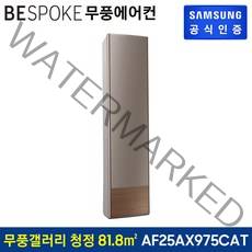 삼성전자 BESPOKE 무풍갤러리 에어컨 스탠드형 방문설치, AF25AX975CAT, 일반배관형