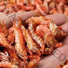 국내산 육수용 마른 딱새우 국물요리에 딱 300g/500g/1kg, 500g