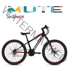 (완조립) 마젠타 22D 알루미늄 주니어 MTB 지오닉스 2021, 블랙 레드