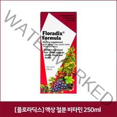 [플로라딕스] 액상 철분 비타민 250ml