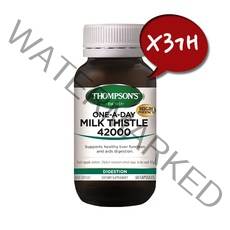 [톰슨] 밀크시슬(밀크씨슬) 42000mg 60캡슐 X3개, 200g, 3개