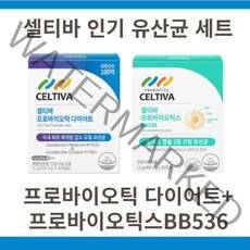 셀티바 프로바이오틱 다이어트 체지방감소 30캡슐 + 2중코팅 프로바이오틱스 BB536 비피더스유산균 락토바실러스플란타룸 락토바실러스 커베터스 100억보장, 3세트