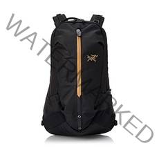 아크테릭스 Laptop 24k Black One Size, Carbon Copy