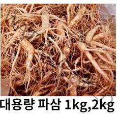금산 인삼 파삼 5년근 세척 수삼 국내산 1kg 2kg 파삼 막삼 흠있는 못생긴 인삼 대용량, 세척해주세요(0), 1kg 파삼