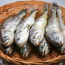 국내산 여수 참조기 소 중 대 사이즈 18미-30미 1.2kg, 참조기 실속 30미 (팩당 5미 160g 내외) 6팩