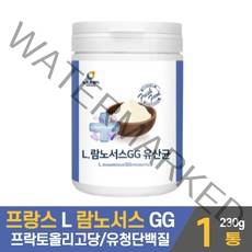 프랑스 l 람노서스 gg 유산균 rgg 유산균 분말 가루 프로바이오틱스 프로바이오스틱 파우더 타 마시는 먹는법 남자 여자 성인 패밀리 가족, 1개, 230g