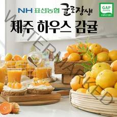 랜선몰 홈쇼핑 제주농협 제철 당일수확 산지직배송 하우스 고당도 감귤 3kg(20-22과수) 6kg(40-44과수) 제주도 신선 껍질얇은 귤 밀감