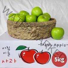 경북사과 경북햇사과 경북청사과 아오리사과 썸머킹사과 청사과 초록사과 국내산사과 햇사과 여름사과 아침사과 5kg, 아침이슬사과 여름햇사과 중소과 5kg