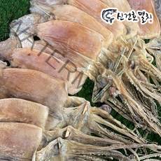 신건호멸치 동해안 당일바리오징어 / 국산 말린오징어 건오징어, 10마리(소), 500g 내외