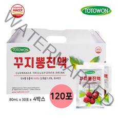 강원식품 꾸지뽕진액 4박스(120포), 120개, 80ml