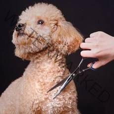 스마트 반려동물 미용가위 강아지 고양이 털정리 숱가위 커브가위 4type