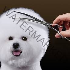 바비온 반려동물 ML 20도 커브 미용가위 M4-751C 20.3cm, 1개