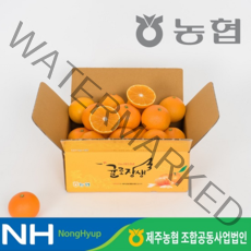 귤로장생 2022 제주 황금향 3.5kg*1박스, 1
