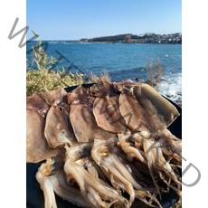 파품 반건조오징어1kg내외 어떤걸 상상하던 상상이상의 가성비 상품!