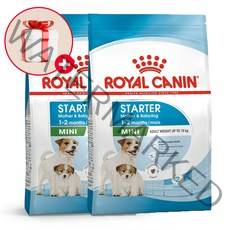 로얄캐닌 미니 스타터 로얄캐닌 마더앤베이비독 2kg(1kg2개)