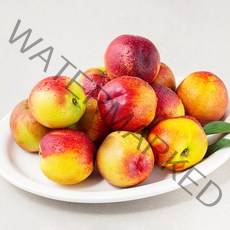 딜리조이 GAP 저탄소 천도복숭아, 1.5kg, 1팩