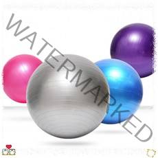 임산부짐볼 진볼 65cm 펌프 블루 헬스 요가 필라테스