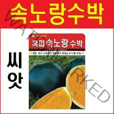 속노랑수박씨앗 5알 수박씨앗 노랑수박 노란수박 씨앗