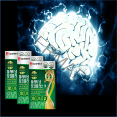 뇌영양제 혈액순환제 집중력영양제 징코플러스 30정