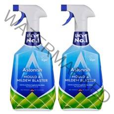 아스토니쉬 세정제 세척제 곰팡이 제거제 750ml-2개