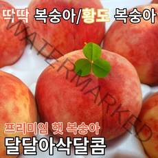 [아삭아삭] 딱딱이복숭아/황도 복숭아 3K 4KG, 딱딱 복숭아 중소과 4.0KG 20~30과