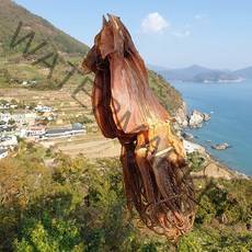 쫄쫄이오징어 5마리 10마리 국내산 굽지않고 짜지않아요 맥주안주 마른오징어 건어물 남해청정바다, (중)5마리250g